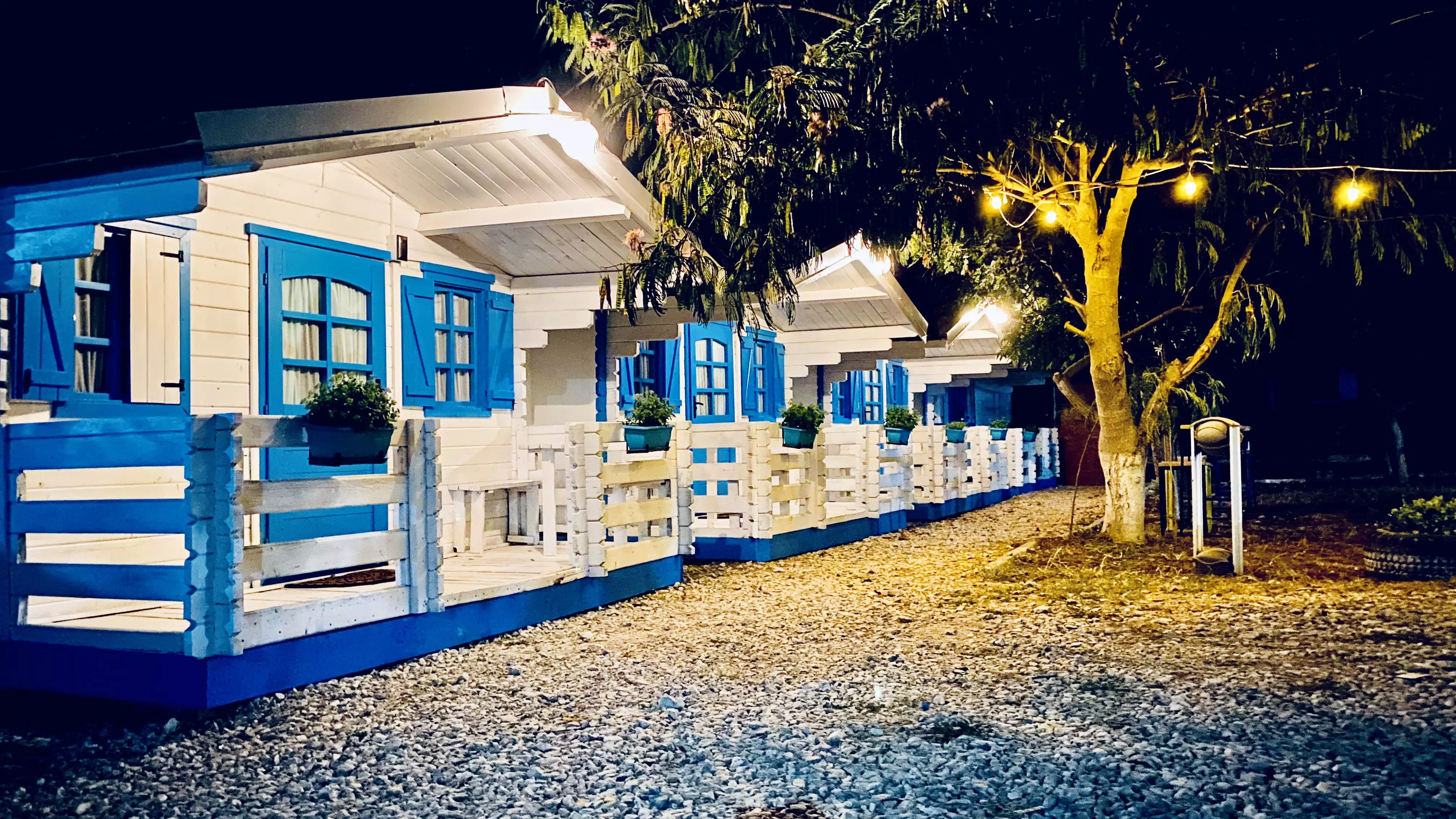 Letea Forest landscape